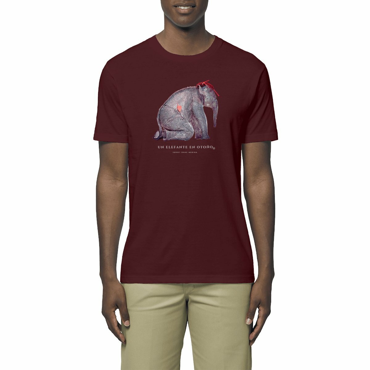 visual_Burgundy